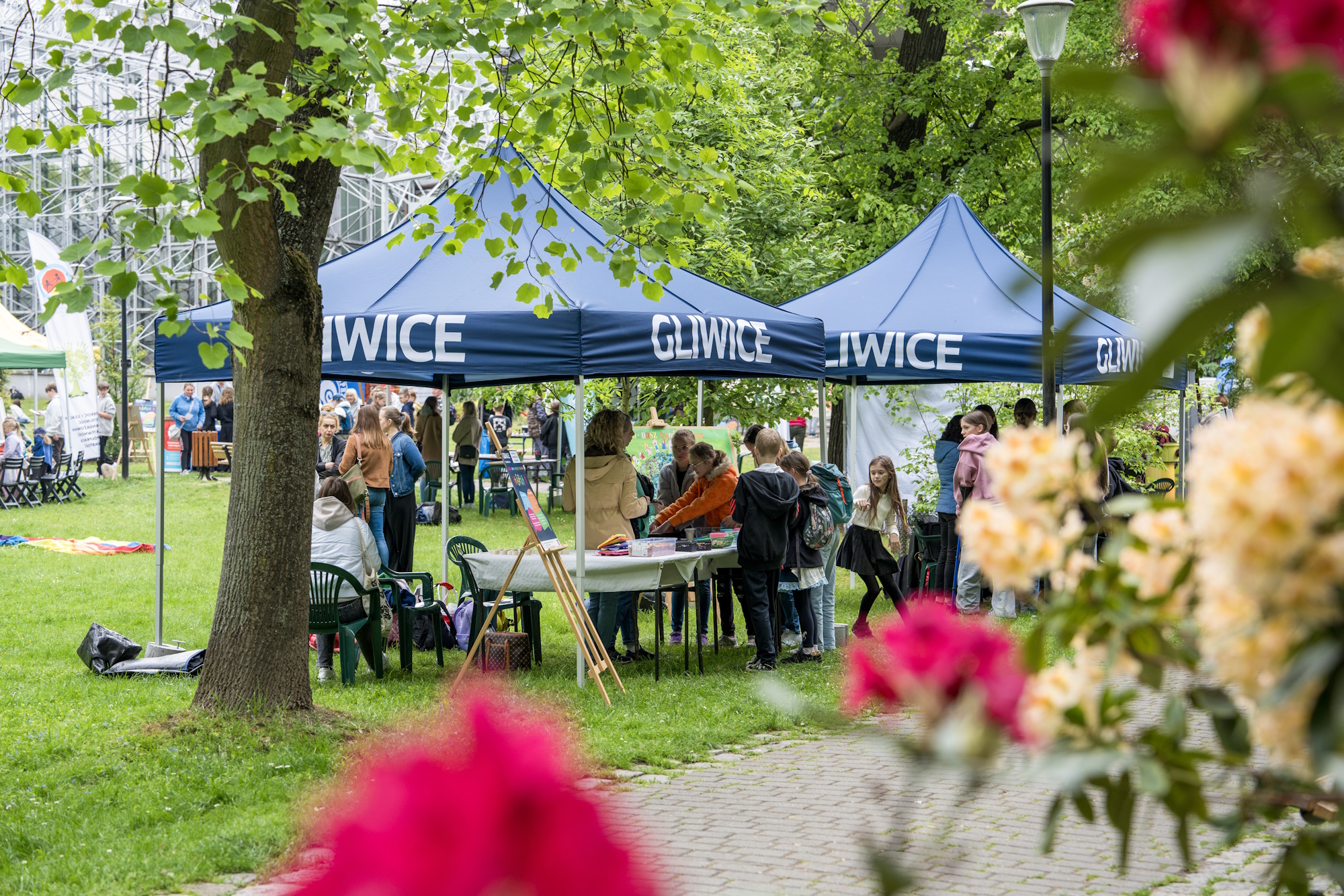 Fot. G.Ożga/UM Gliwice dzieci pod namiotami warsztatowymi
