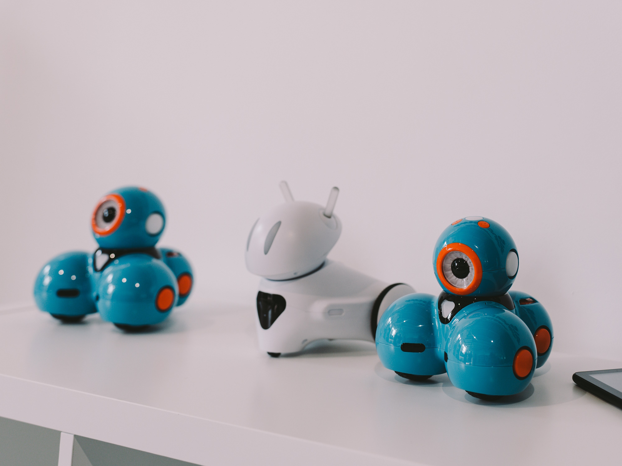 Fot. Mosquidron/UM Gliwice roboty na półce