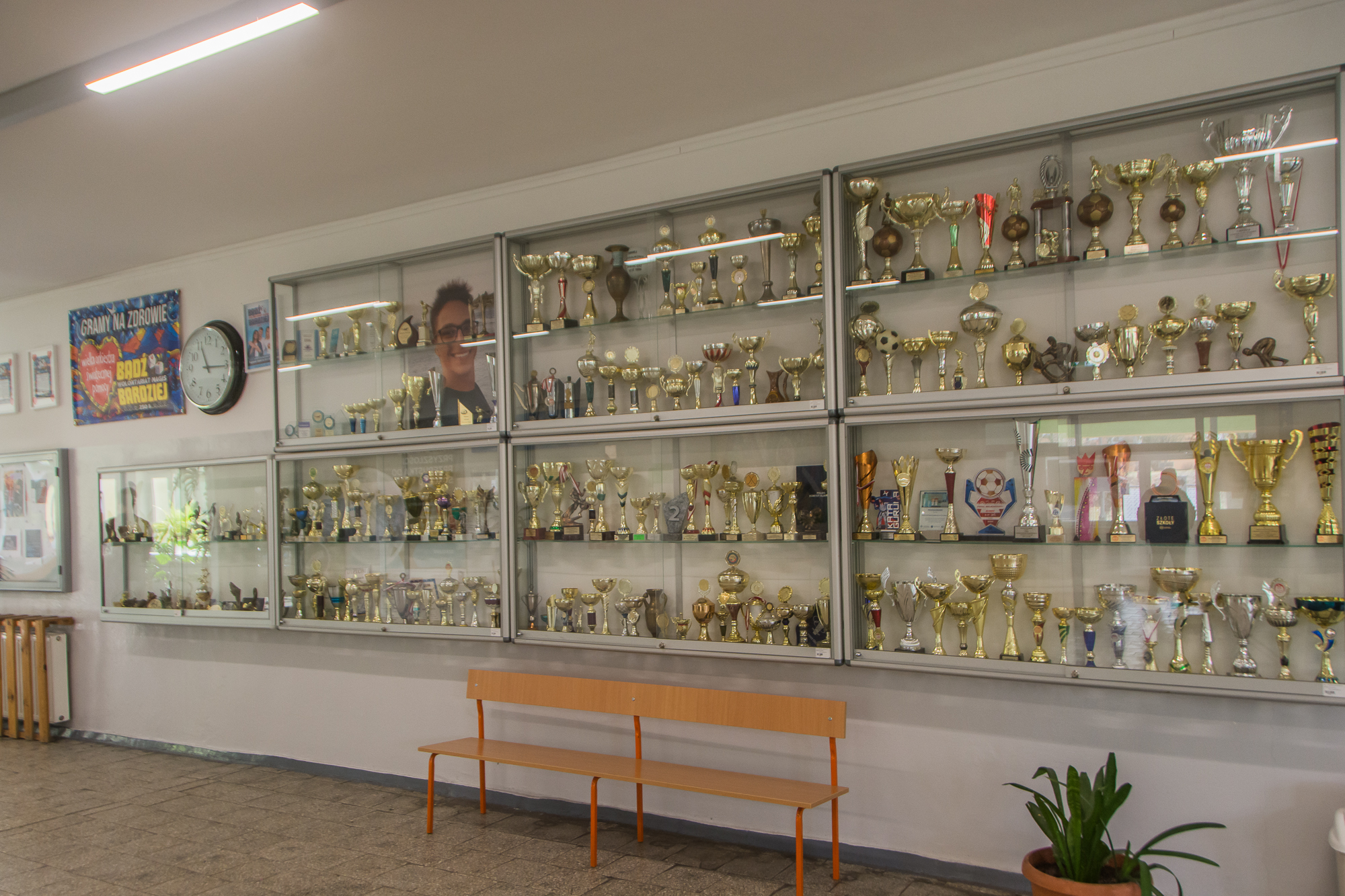 Gala "Sportowiec Roku 2026 im. Michała Kapiasa" w Zespole Szkół Ogólnokształcących nr 8