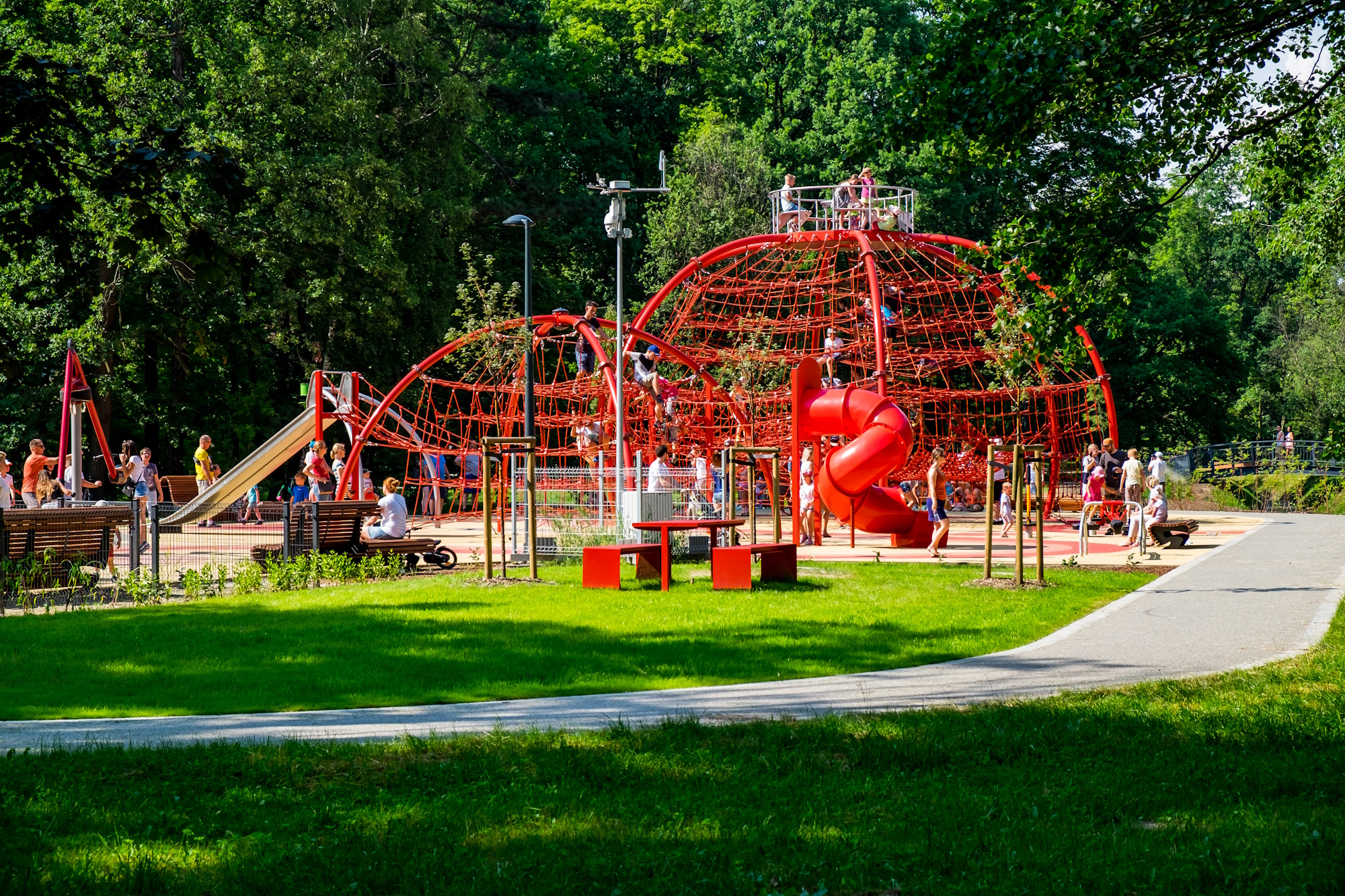 czerwone linarium w parku, siedzą na nim dzieci