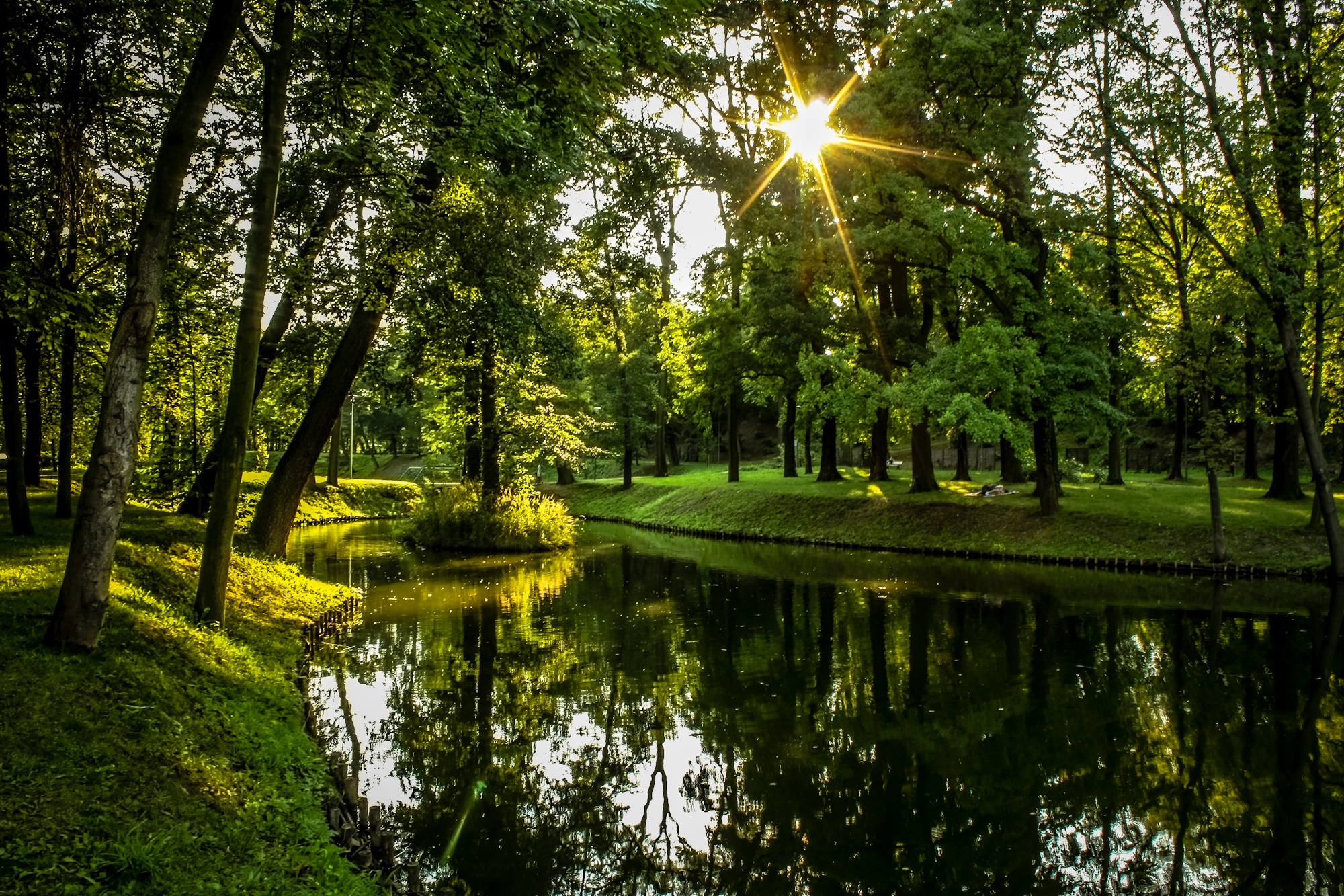park w zieleni, staw, słońce