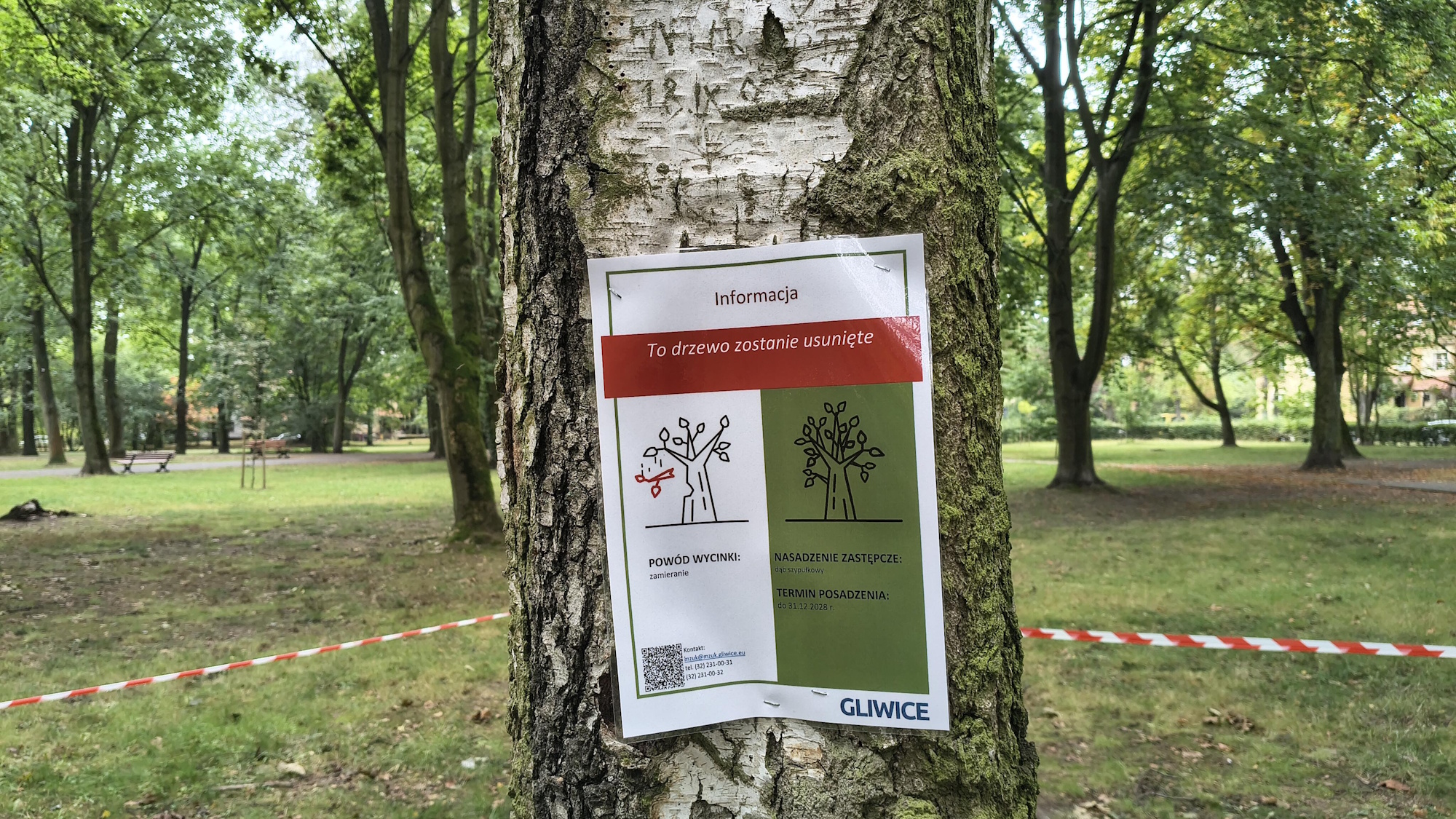 tabliczka na drzewie