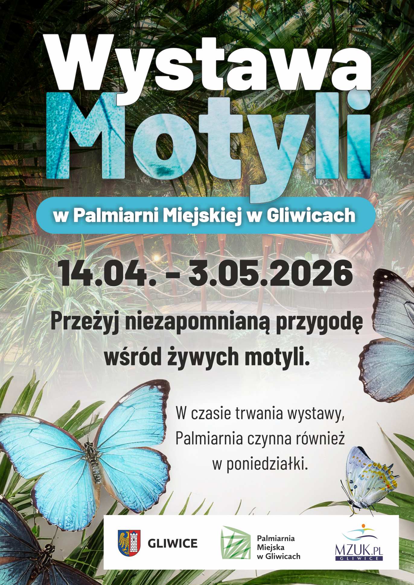 plakat promujący wystawę motyli