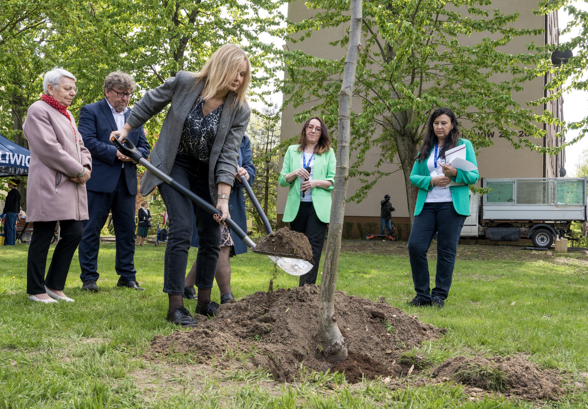 Prezydent Gliwic wkopuje drzewo