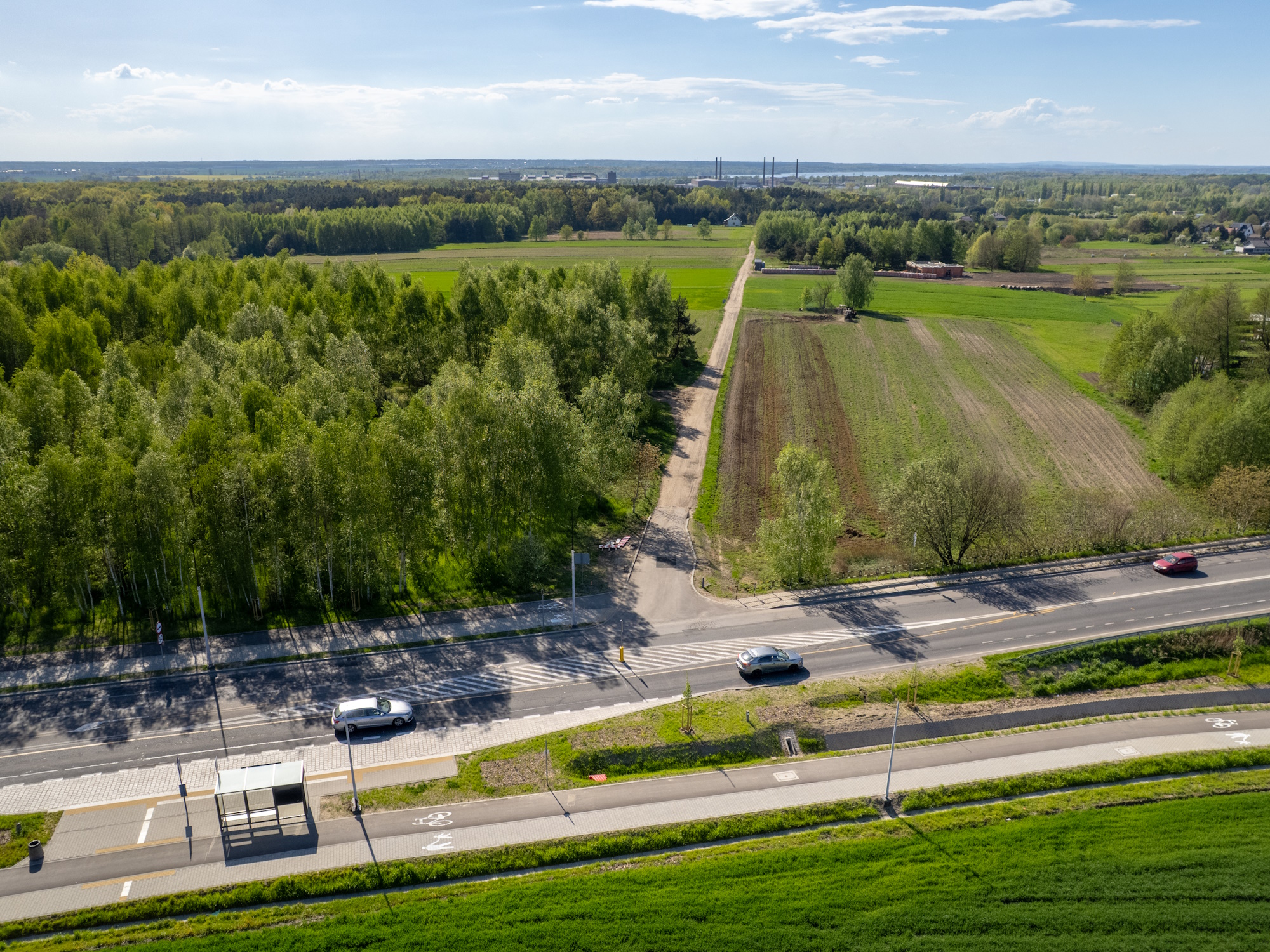 Widok na ul. Jachtową od strony ul. Toszeckiej w Gliwicach. Fot. F. Zobawa / UM w Gliwicach droga, las