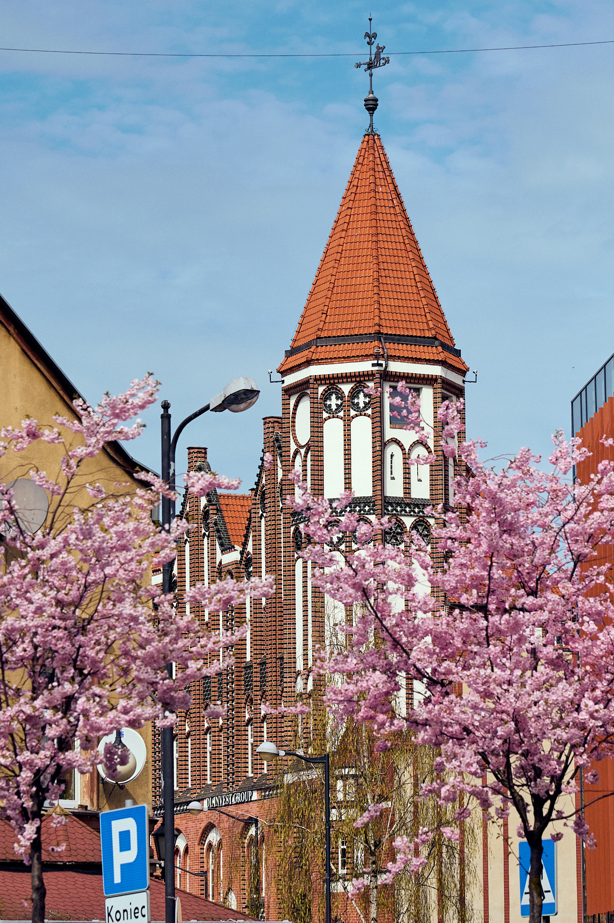 kwitnące na różowo drzewa, w tle stara poczta