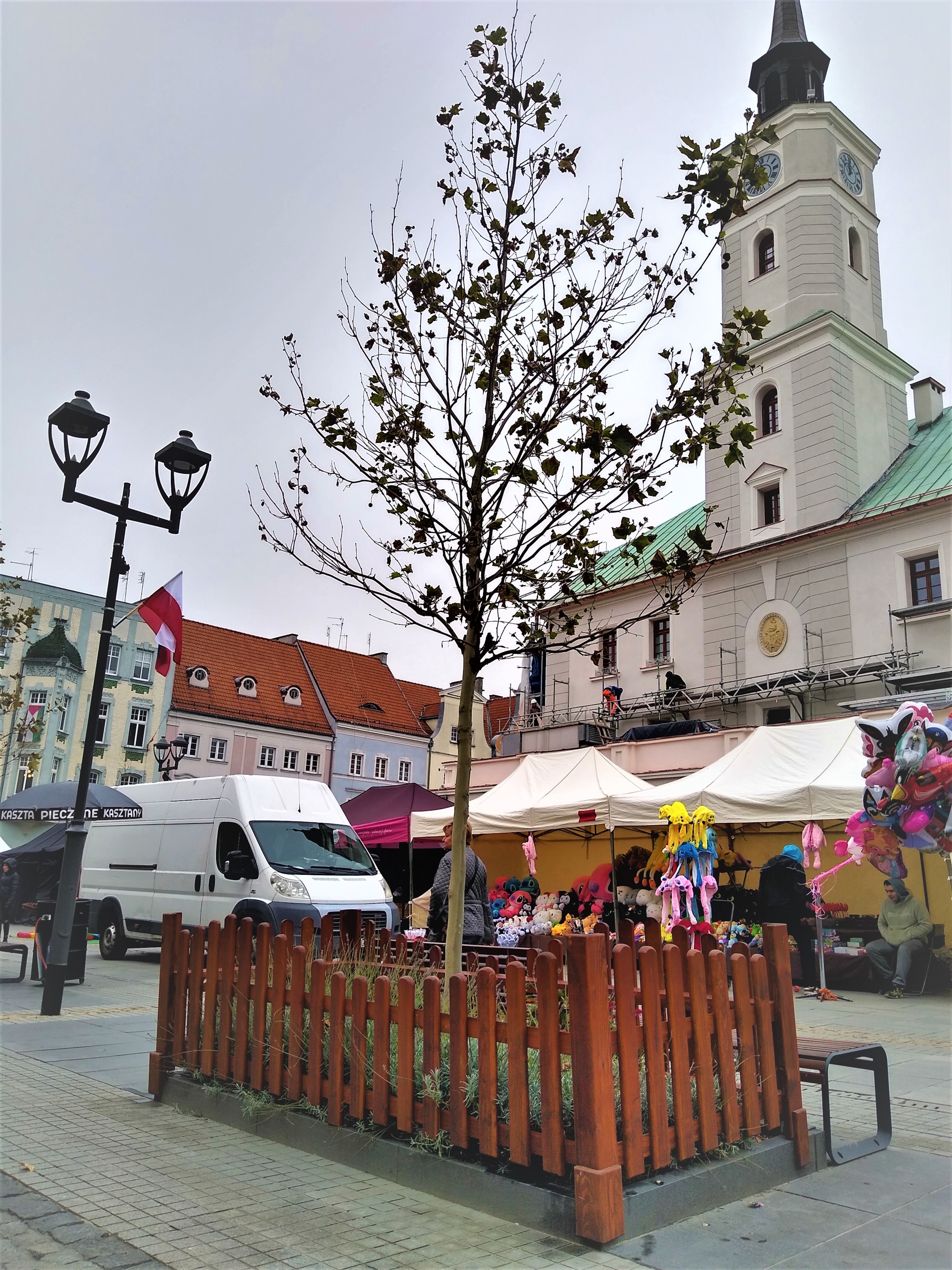 ogrodzone rośliny na Rynku