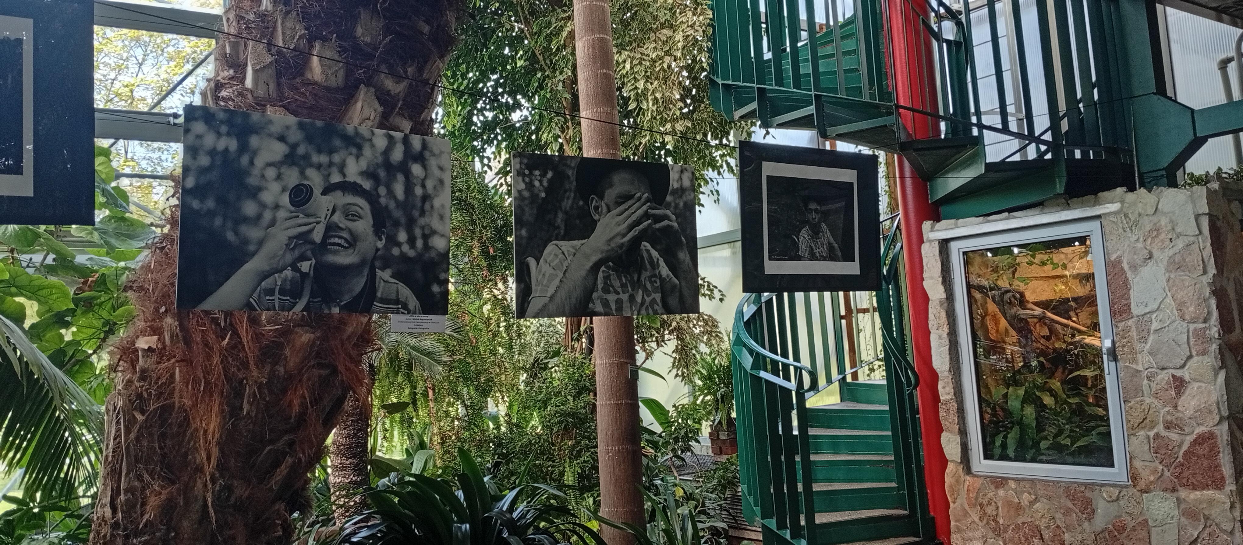 Palmiarnia, duzo zieleni i wystawa fotografi