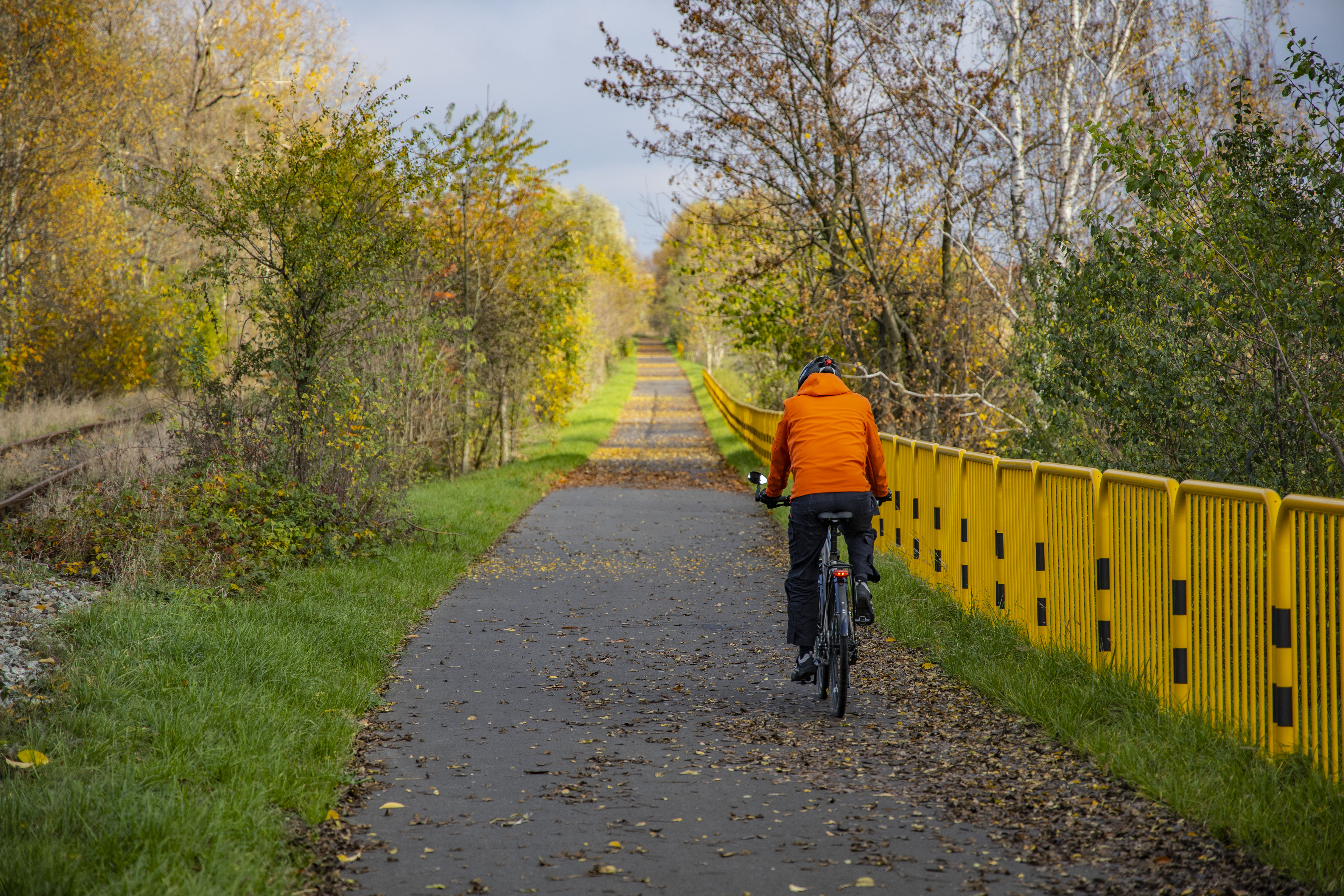 Rowerzysta jadący trasą rowerową