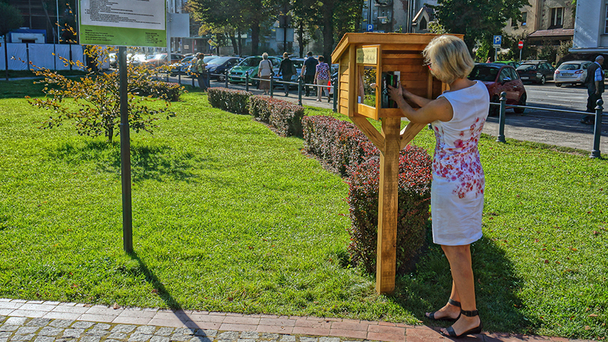 plenerowa biblioteczka
