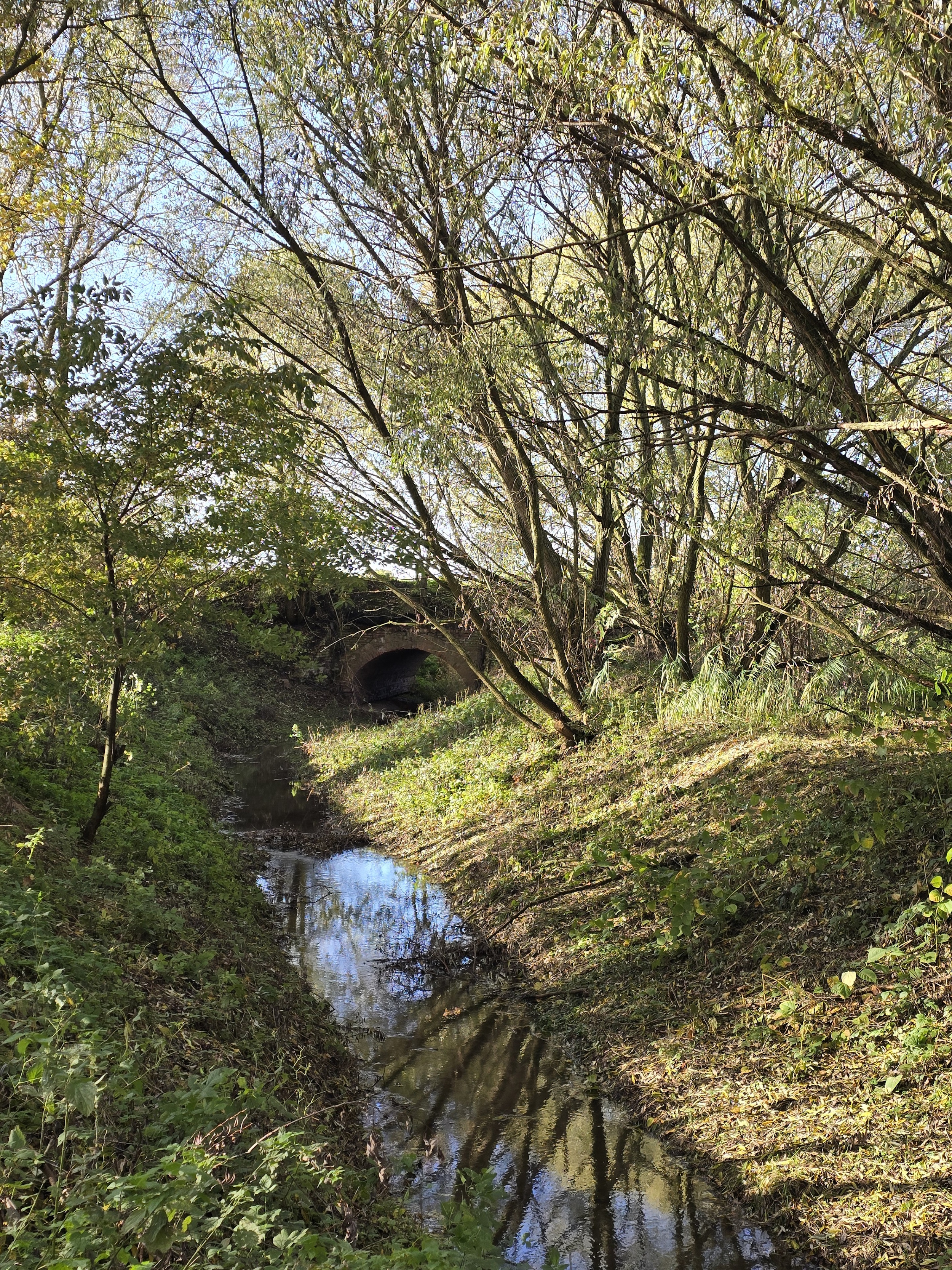 Ciek wodny przy polu