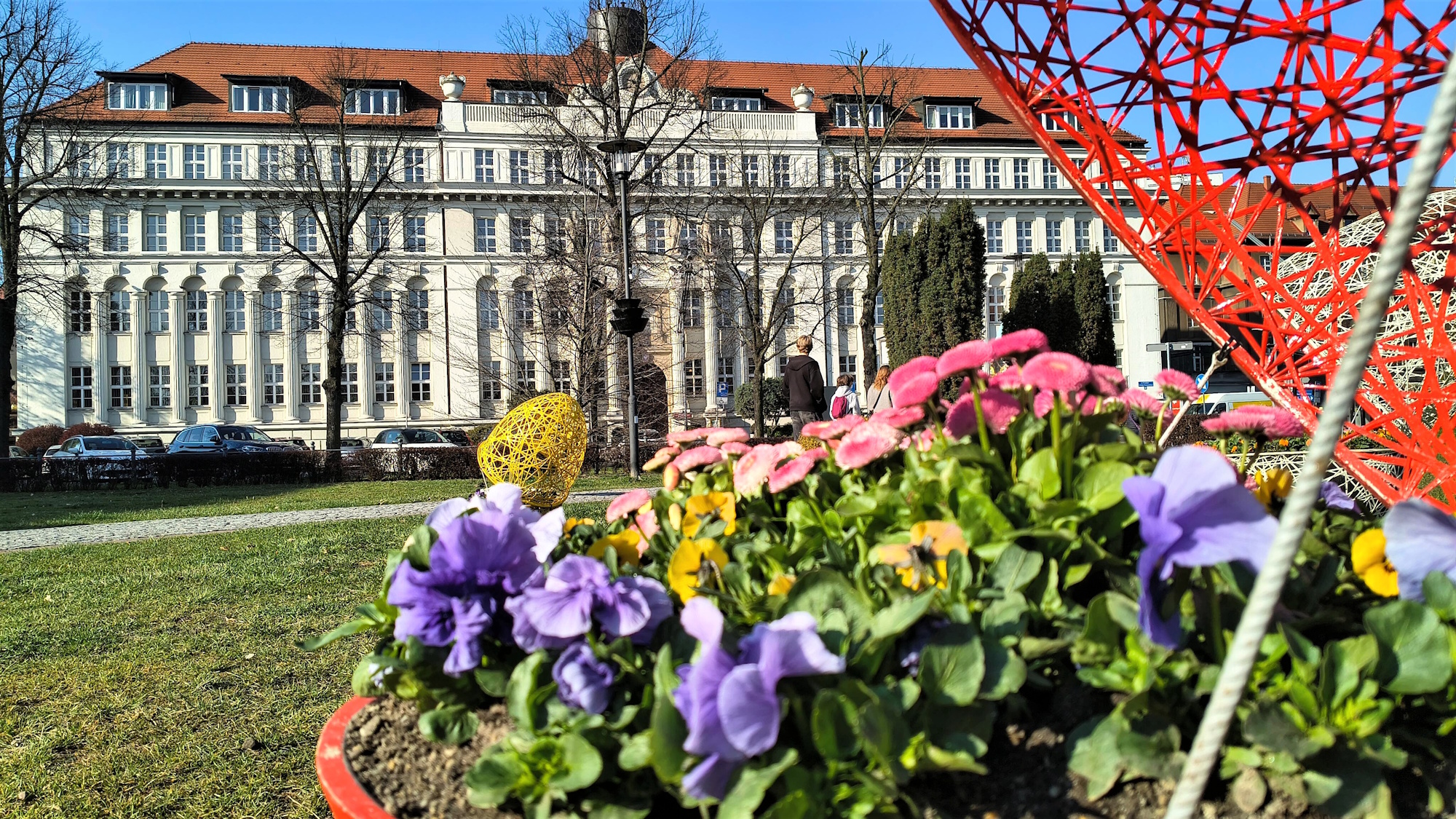 kwiaty w kwietniku w kształcie pisanki