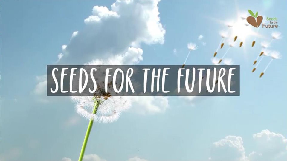 grafika seeds for future