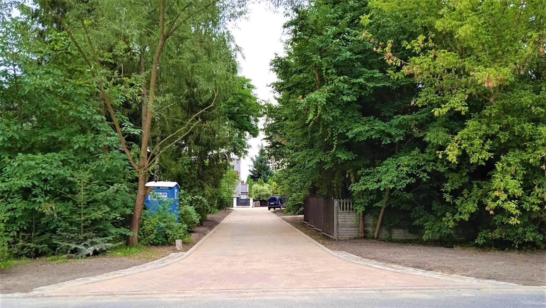 ulica, drzewa