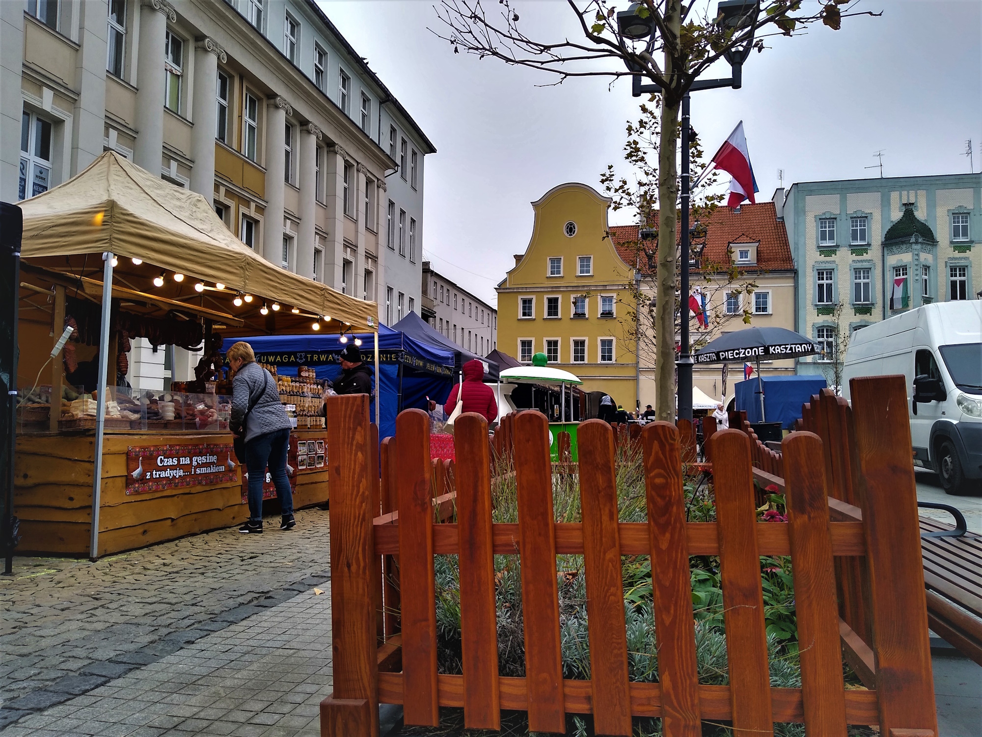 W trosce o drzewa i inne rośliny