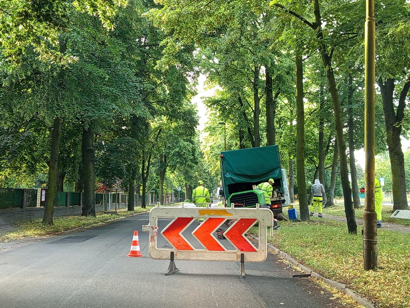 ulica, meżczyźni, drzewa