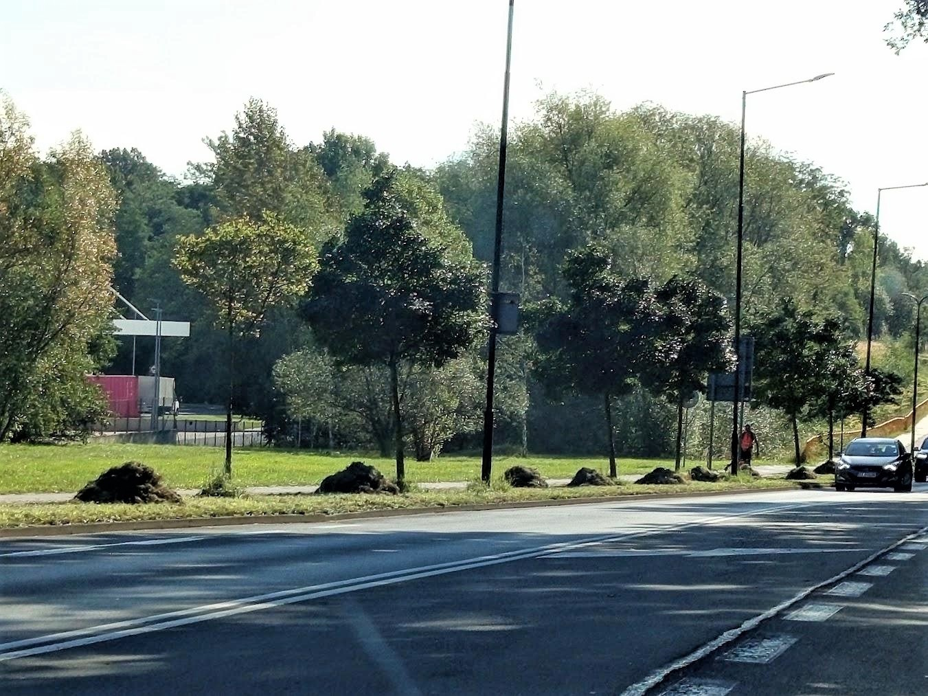 małe stogi z trawą w pasie drogowym, robotnik i samochód osobowy