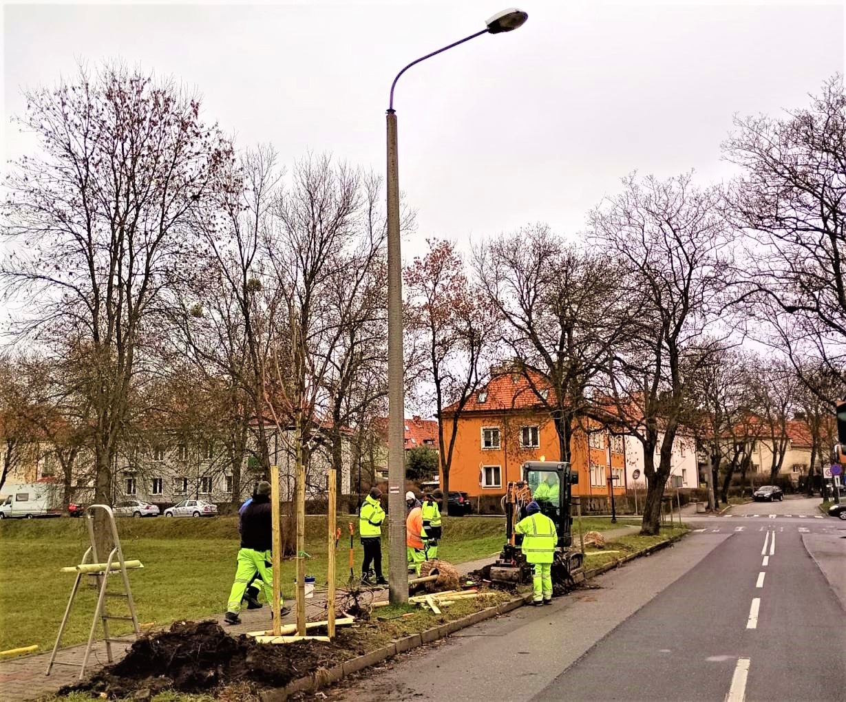 Aleję przy ul. Sobieskiego uzupełniły klony 